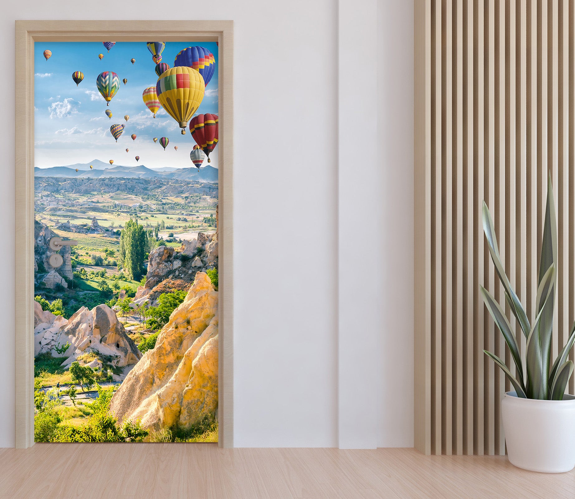 3D Hot Air Balloon 25112 Door Mural