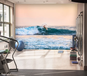 3D Surfing Summer 009 Wall Murals Wallpaper AJ Wallpaper 2 