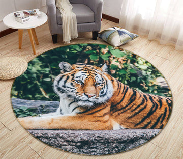 3D Tiger 82193 Animal Round Non Slip Rug Mat