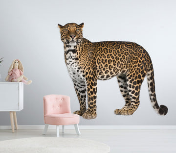 3D The Leopard Looks Into The Distance 074 Animals Wall Stickers Wallpaper AJ Wallpaper 