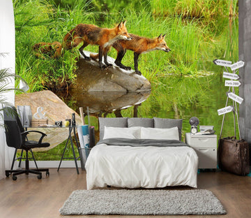 3D River Fox 2063 Wall Murals Wallpaper AJ Wallpaper 2 