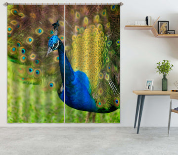3D Peacock 61231 Kathy Barefield Curtain Curtains Drapes