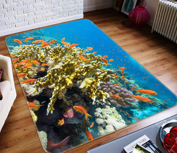 3D Coral Fish 26201 Non Slip Rug Mat