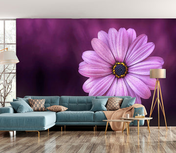 3D Purple Daisy 9167 Alius Herb Wall Mural Wall Murals