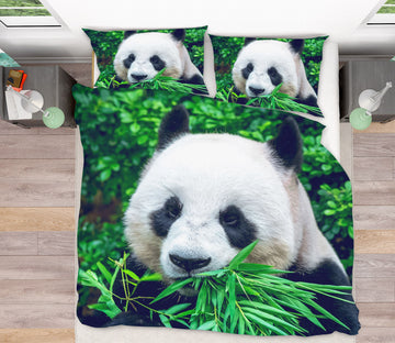 3D Panda 61140 Bed Pillowcases Quilt