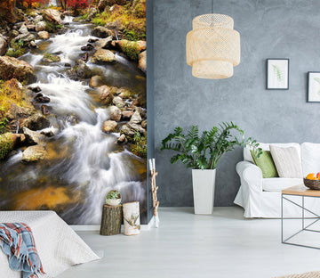 3D Stream Water 1969 Wall Murals Wallpaper AJ Wallpaper 2 