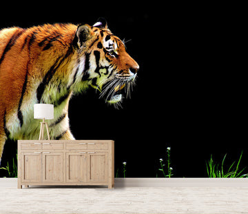 3D Tiger Mighty 270 Wall Murals