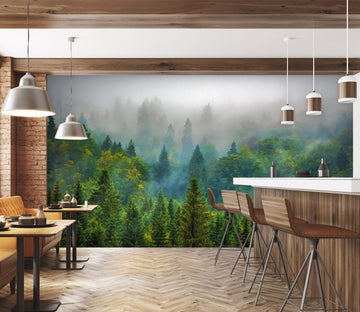 3D Woods Fog 9121 Alius Herb Wall Mural Wall Murals