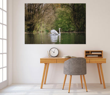 3D White Swan On A British Lake 129 Animal Wall Stickers Wallpaper AJ Wallpaper 2 