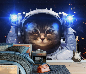 3D Space Cat 1733 Wall Murals Wallpaper AJ Wallpaper 2 