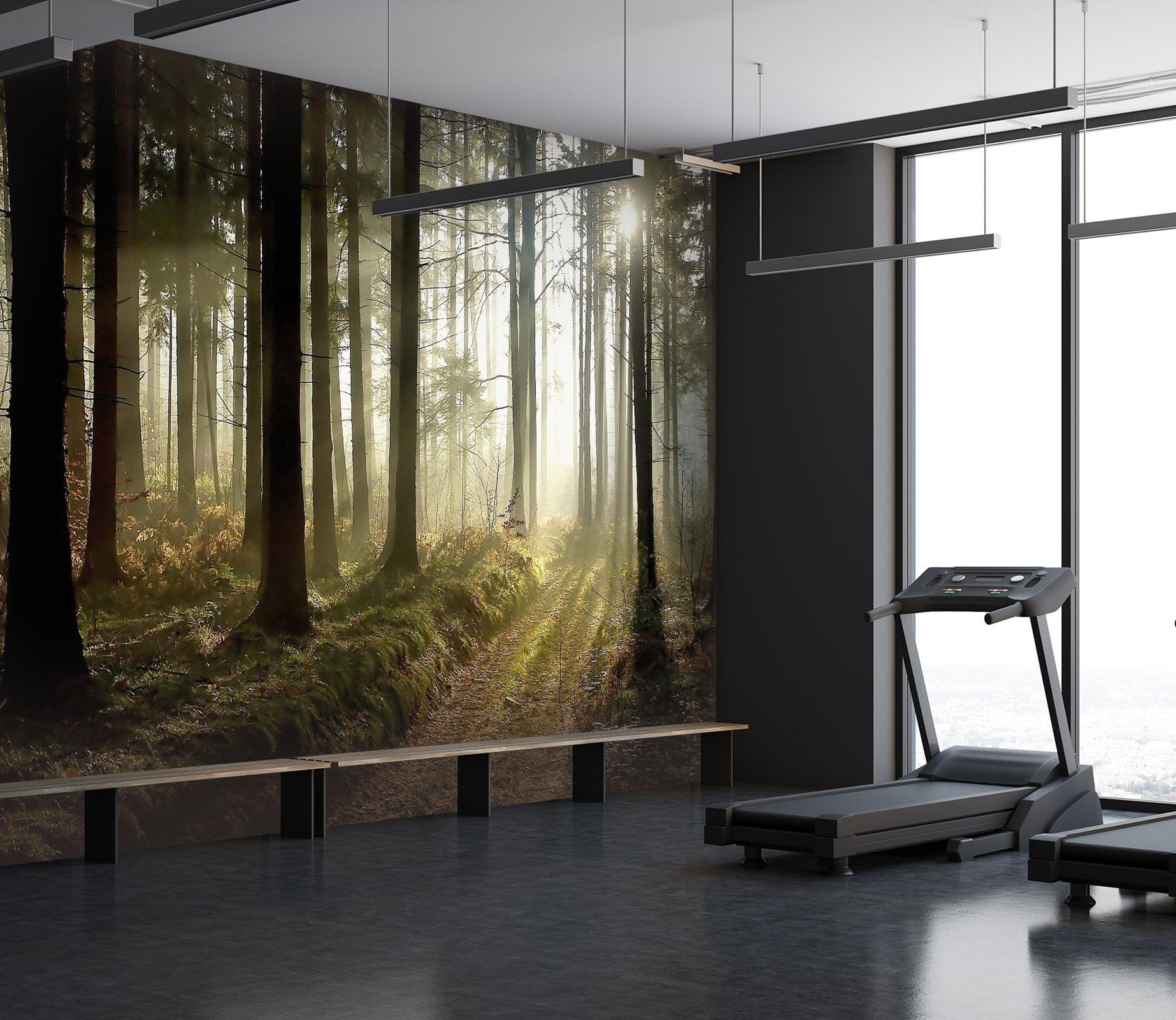 3D sunshine in the forest 17 Wall Murals Wallpaper AJ Wallpaper 