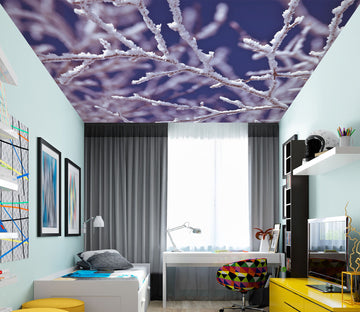 3D Winter Snow Branches 2555 Assaf Frank Ceiling Wallpaper Murals