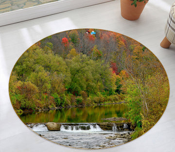 3D Forest 11198 Kathy Barefield Rug Round Non Slip Rug Mat