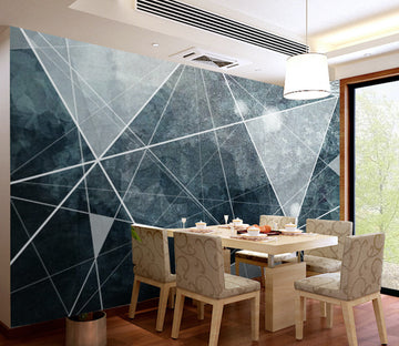 3D Grey Geometry WG058 Wall Murals