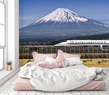3D Snow Mountain Train 154 Vehicle Wall Murals