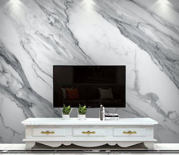 3D Abstract Line WG213 Wall Murals