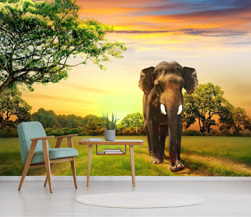 3D Lawn Elephant 340 Wall Murals Wallpaper AJ Wallpaper 2 