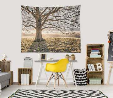 3D Sunlight Tree Lawn 116161 Assaf Frank Tapestry Hanging Cloth Hang