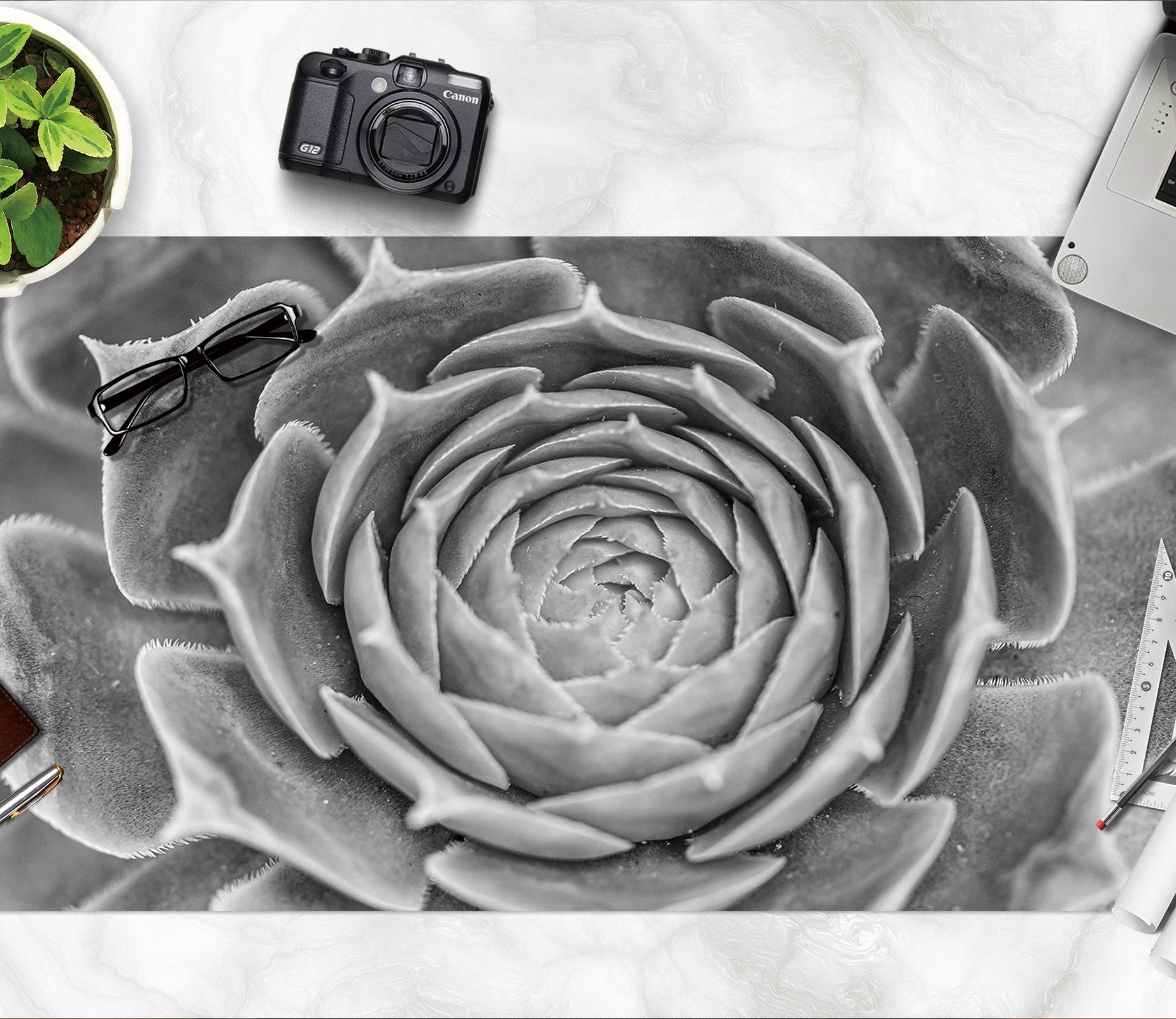 3D Gray Succulent 7763 Assaf Frank Desk Mat