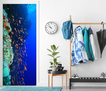 3D Seabed Fish 25066 Door Mural