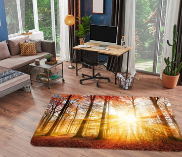 3D Sunny Woods 77123 Non Slip Rug Mat