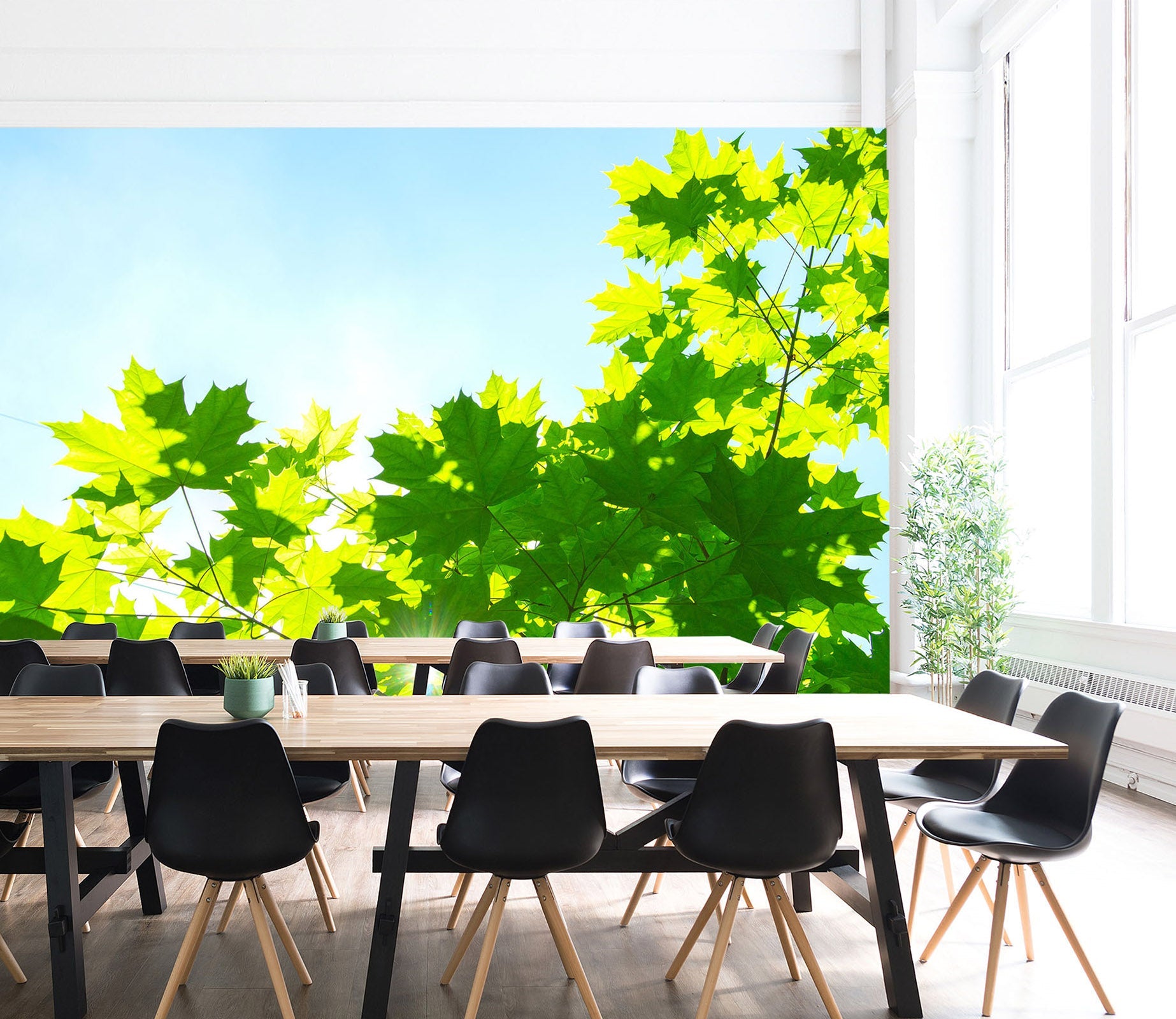3D Sunlight Leaves 047 Wall Murals Wallpaper AJ Wallpaper 2 