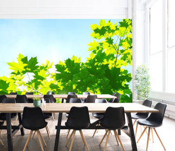 3D Sunlight Leaves 047 Wall Murals Wallpaper AJ Wallpaper 2 