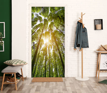3D Forest  24222 Door Mural