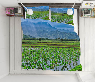 3D Taro Fields 11176 Kathy Barefield Bedding Bed Pillowcases Quilt