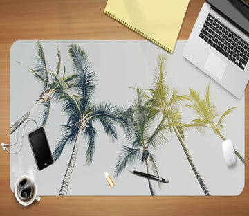 3D Coconut Tree 17012 Desk Mat