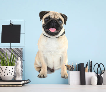3D Dog Silly 152 Animals Wall Stickers Wallpaper AJ Wallpaper 