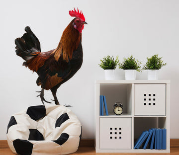 3D Big Cock 192 Animals Wall Stickers Wallpaper AJ Wallpaper 