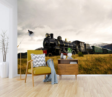 3D Train Grassland 165 Vehicle Wall Murals