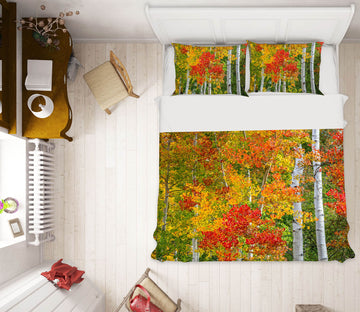 3D Colorado Autumn 022 Marco Carmassi Bedding Bed Pillowcases Quilt