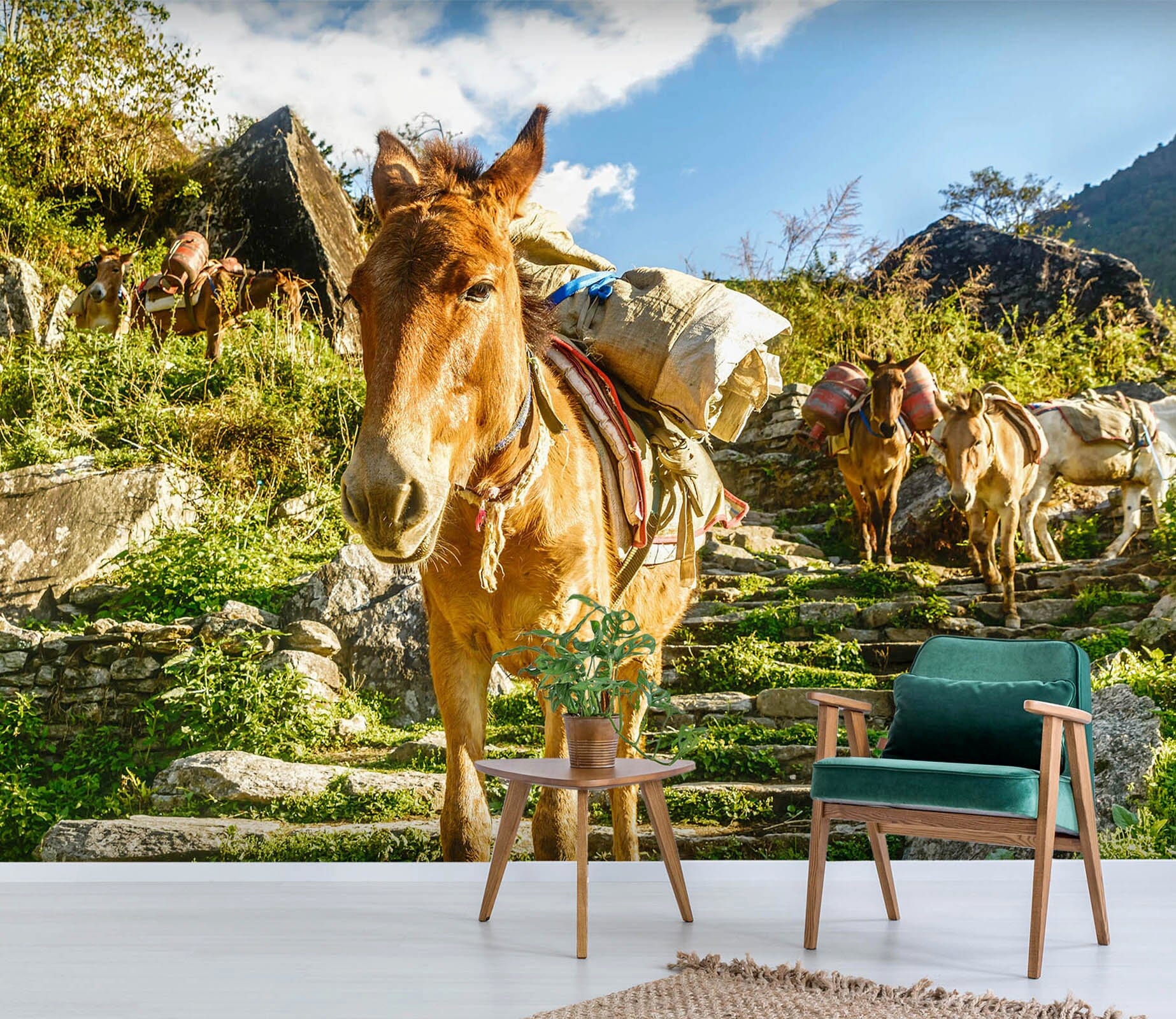 3D Donkey Load 373 Wall Murals Wallpaper AJ Wallpaper 2 