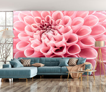 3D Pink Chrysanthemum 6127 Assaf Frank Wall Mural Wall Murals