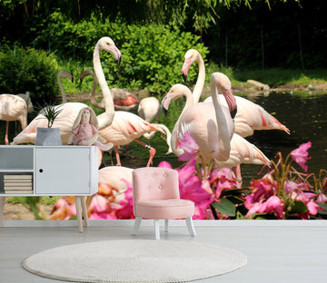 3D Flamingo Flower 152 Wall Murals Wallpaper AJ Wallpaper 2 