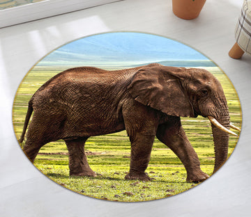 3D Elephant 82211 Animal Round Non Slip Rug Mat