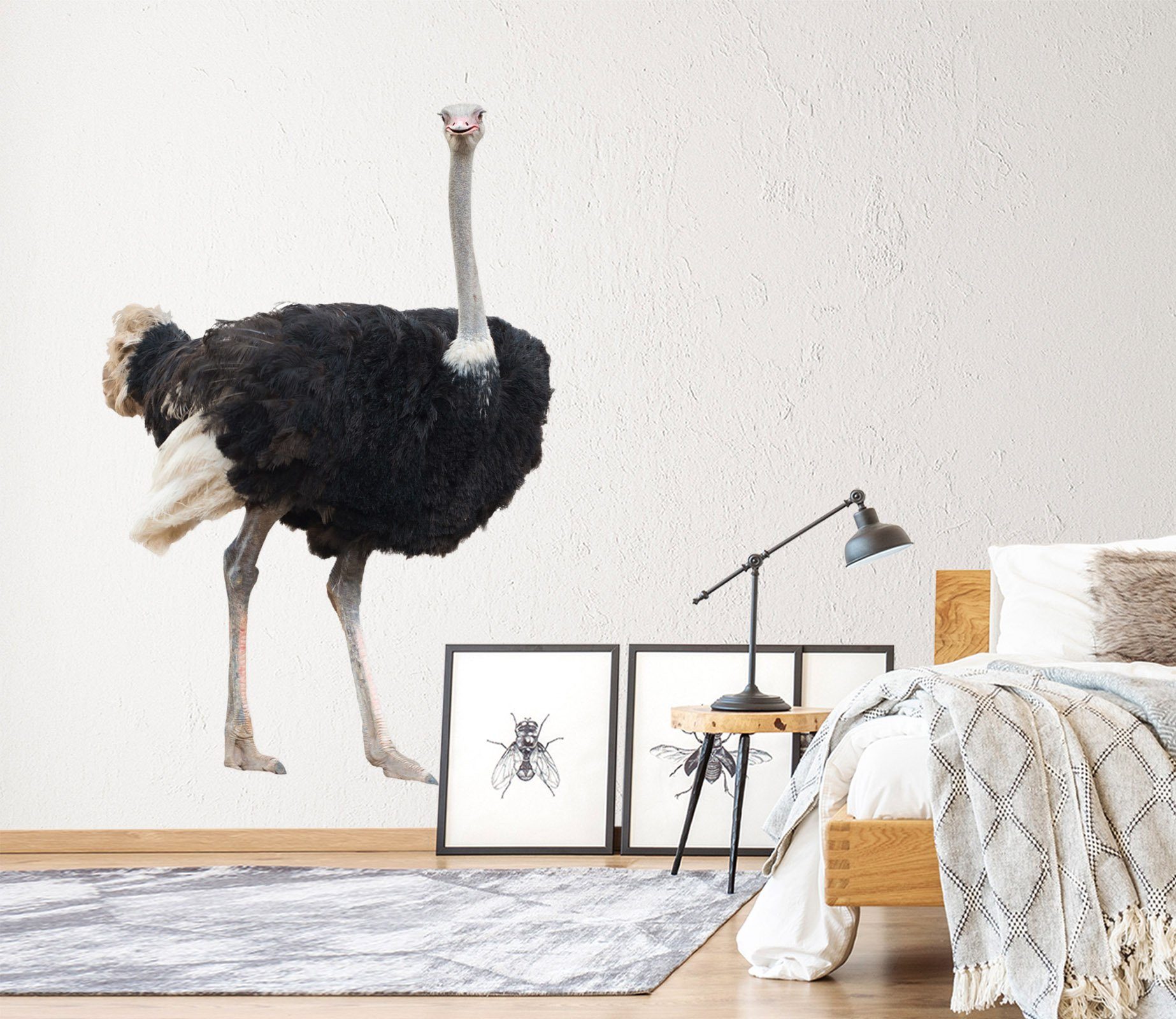 3D Ostrich 200 Animals Wall Stickers Wallpaper AJ Wallpaper 