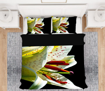 3D Lily 2136 Kathy Barefield Bedding Bed Pillowcases Quilt Quiet Covers AJ Creativity Home 
