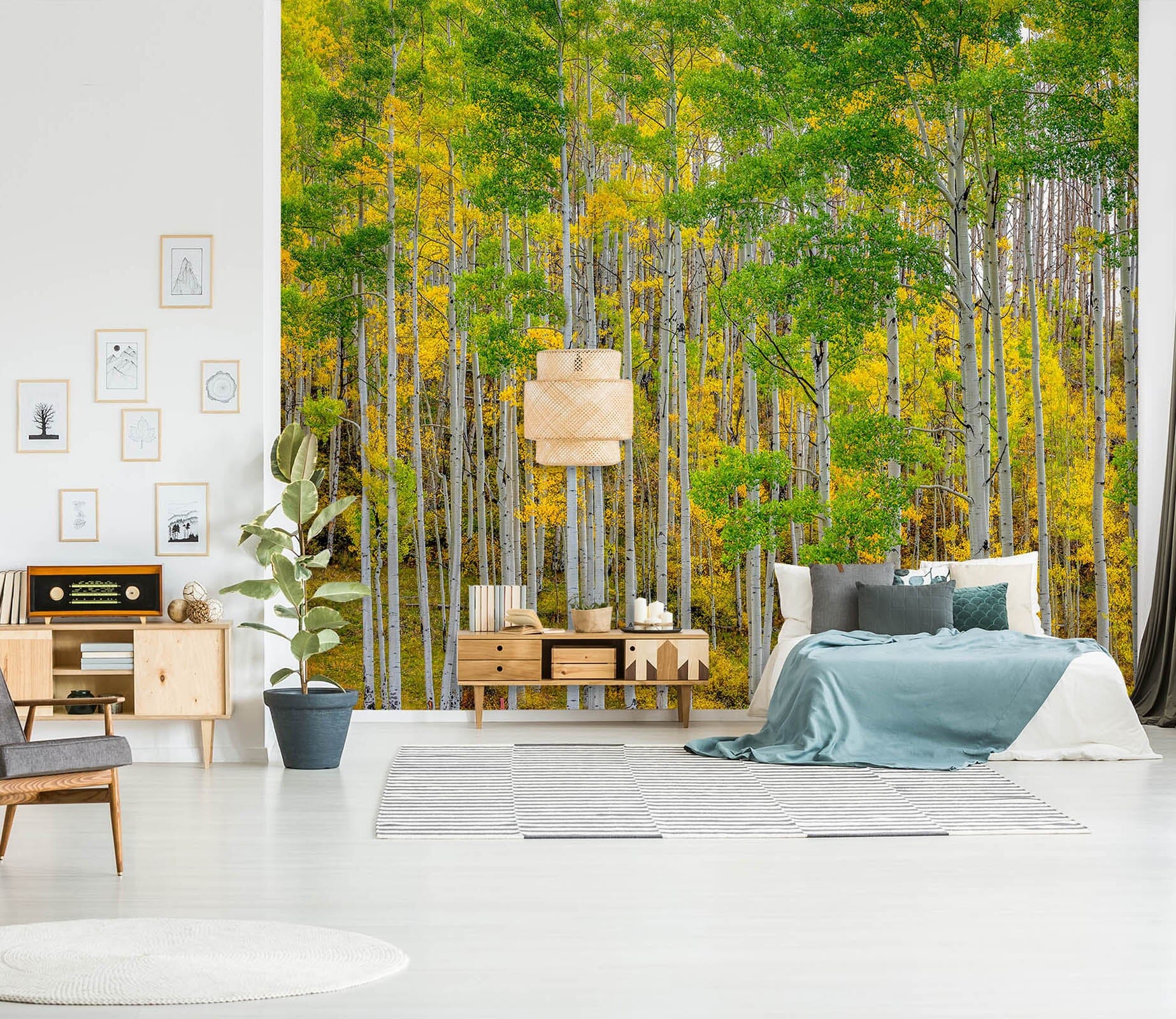 3D Autumn Forest 1436 Marco Carmassi Wall Mural Wall Murals Wallpaper AJ Wallpaper 2 