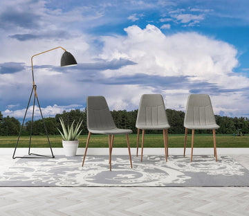 3D Summer Clouds 124 Jerry LoFaro Wall Mural Wall Murals Wallpaper AJ Wallpaper 2 