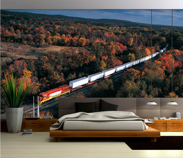 3D Maple Forest Train 068 Vehicle Wall Murals