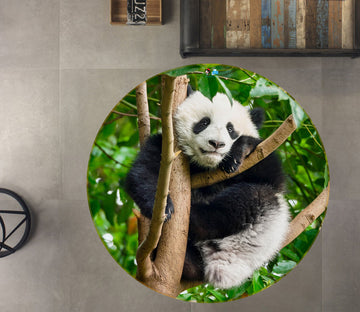 3D Tree Panda 75103 Round Non Slip Rug Mat