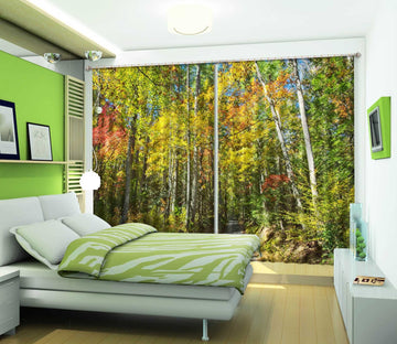 3D Sunny Forest 059 Kathy Barefield Curtain Curtains Drapes Curtains AJ Creativity Home 