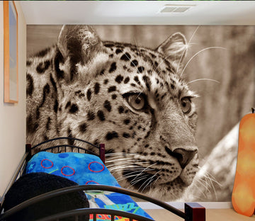 3D Ferocious Leopard 130 Wall Murals Wallpaper AJ Wallpaper 2 