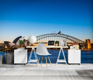 3D Sydney Bridge 1085 Wall Murals