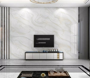 3D Abstract Line WC2238 Wall Murals