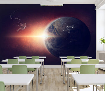 3D Astronaut Earth 134 Wall Murals