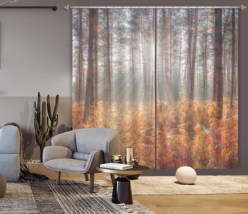 3D Sunlight Trees 6363 Assaf Frank Curtain Curtains Drapes